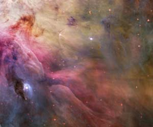 orion nebula hubble
