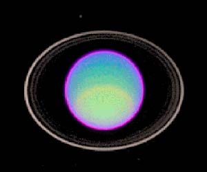 Uranus Rings (Hubble False Colour)