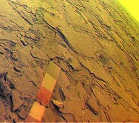 surface of venus